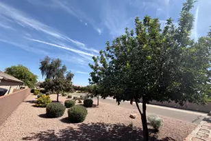 436 E Yellow Wood Ave, San Tan Valley, AZ 85140 - Photo 8