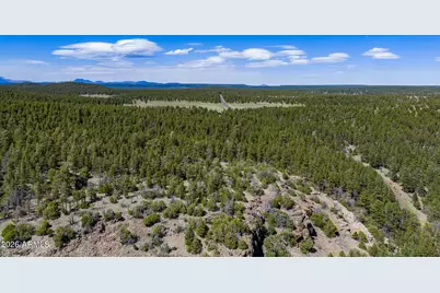 6248 Dairy Lane, Mormon Lake, AZ 86038 - Photo 42