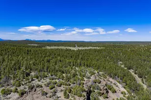 6248 Dairy Ln, Mormon Lake, AZ 86038 - Photo 42