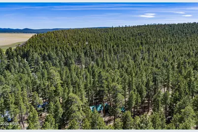 6248 Dairy Lane, Mormon Lake, AZ 86038 - Photo 26