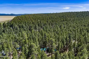 6248 Dairy Ln, Mormon Lake, AZ 86038 - Photo 26