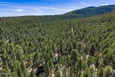 6248 Dairy Lane, Mormon Lake, AZ 86038 - Photo 40