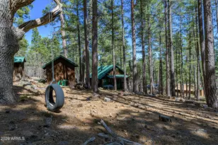 6248 Dairy Ln, Mormon Lake, AZ 86038 - Photo 2