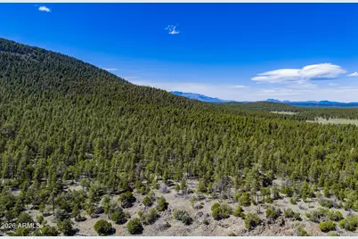 6248 Dairy Lane, Mormon Lake, AZ 86038 - Photo 30