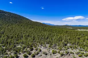 6248 Dairy Ln, Mormon Lake, AZ 86038 - Photo 30