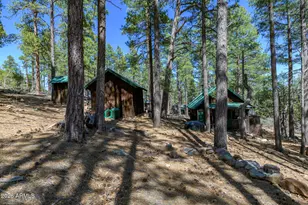 6248 Dairy Ln, Mormon Lake, AZ 86038 - Photo 34