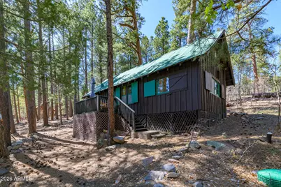 6248 Dairy Lane, Mormon Lake, AZ 86038 - Photo 24
