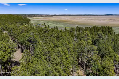 6248 Dairy Lane, Mormon Lake, AZ 86038 - Photo 36