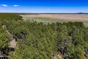 6248 Dairy Ln, Mormon Lake, AZ 86038 - Photo 36