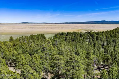 6248 Dairy Lane, Mormon Lake, AZ 86038 - Photo 28