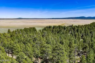 6248 Dairy Ln, Mormon Lake, AZ 86038 - Photo 28