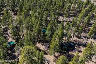 6248 Dairy Ln, Mormon Lake, AZ 86038 - Photo 32