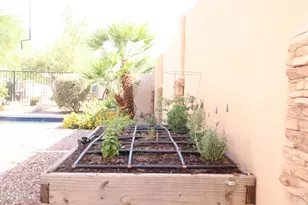 1019 E Monona Dr, Phoenix, AZ 85024 - Photo 36