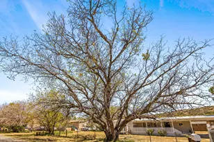 18267 S John Fry Ave, Peeples Valley, AZ 86332 - Photo 4
