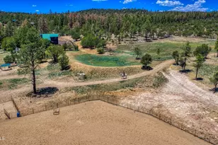 5182 Pinedale Wash Rd, Pinedale, AZ 85934 - Photo 42