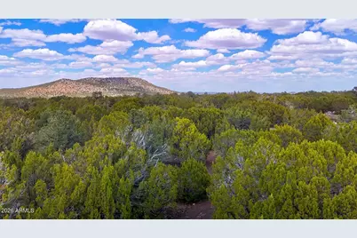 52 County Road 3198 -- #-, Vernon, AZ 85940 - Photo 10