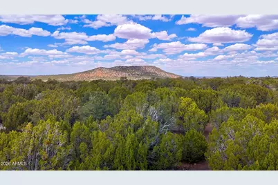 52 County Road 3198 -- #-, Vernon, AZ 85940 - Photo 14