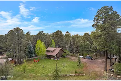 1289 Merzville Road, Forest Lakes, AZ 85931 - Photo 58