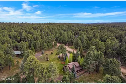 1289 Merzville Road, Forest Lakes, AZ 85931 - Photo 60