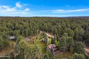 1289 Merzville Rd, Forest Lakes, AZ 85931 - Photo 60