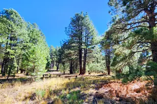 1289 Merzville Rd, Forest Lakes, AZ 85931 - Photo 68
