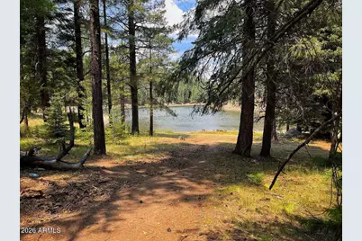 1289 Merzville Road, Forest Lakes, AZ 85931 - Photo 70