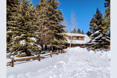 1289 Merzville Road, Forest Lakes, AZ 85931 - Photo 6