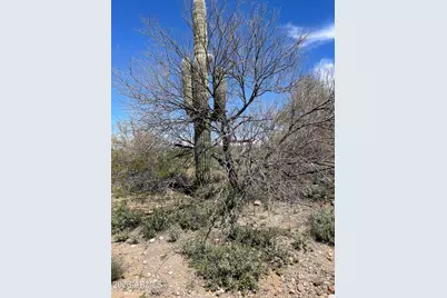 875 E Monte Vista Trail #9, Wickenburg, AZ 85390 - Photo 4