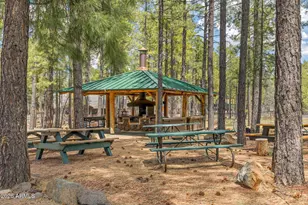 5145 Drifting Snow Loop, Pinetop, AZ 85935 - Photo 40