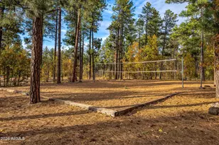 5145 Drifting Snow Loop, Pinetop, AZ 85935 - Photo 32