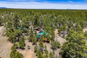 2154 Saddle Blanket Rd, Happy Jack, AZ 86024 - Photo 40
