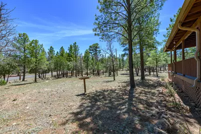 2154 Saddle Blanket Road, Happy Jack, AZ 86024 - Photo 4
