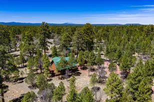 2154 Saddle Blanket Rd, Happy Jack, AZ 86024 - Photo 52