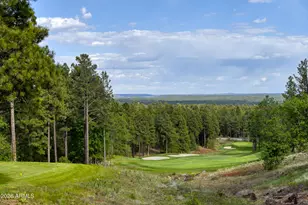 3495 W Lead Rope, Flagstaff, AZ 86005 - Photo 44