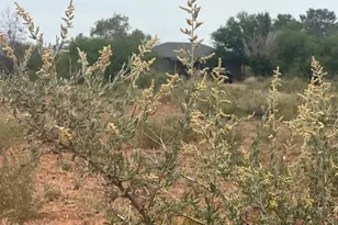 2384 N Appaloosa Pl, Huachuca City, AZ 85616 - Photo 18