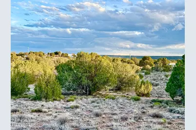 4428 Colt Road #-, Snowflake, AZ 85937 - Photo 12