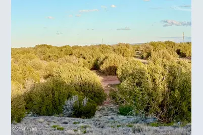 4428 Colt Road #-, Snowflake, AZ 85937 - Photo 16