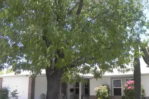 307 W Taro Ln, Phoenix, AZ 85027 - Photo 1