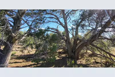 80 S Rattlesnake Gulch -- #80, Williams, AZ 86046 - Photo 14