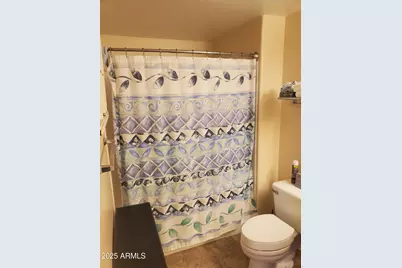 20100 N 78th Place #Apt 2169, Scottsdale, AZ 85255 - Photo 18
