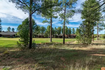 2980 W Billy Mayfair Loop, Show Low, AZ 85901 - Photo 58