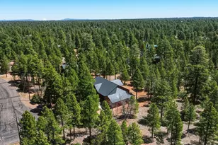 2505 Arapaho Dr, Happy Jack, AZ 86024 - Photo 40