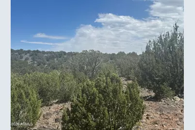 Lot 014E Wagon Lane -- #014E, Snowflake, AZ 85937 - Photo 4