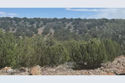 Lot 014E Wagon Lane -- #014E, Snowflake, AZ 85937 - Photo 2