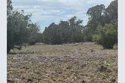 Lot 014E Wagon Lane -- #014E, Snowflake, AZ 85937 - Photo 8