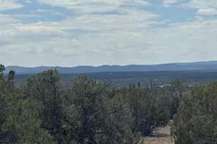 Lot 014E Wagon Ln --, Snowflake, AZ 85937 - Photo 1