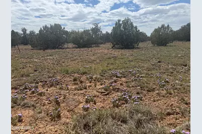 Lot 014E Wagon Lane -- #014E, Snowflake, AZ 85937 - Photo 6