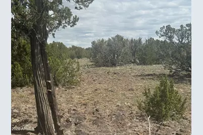 Lot 014E Wagon Lane -- #014E, Snowflake, AZ 85937 - Photo 16