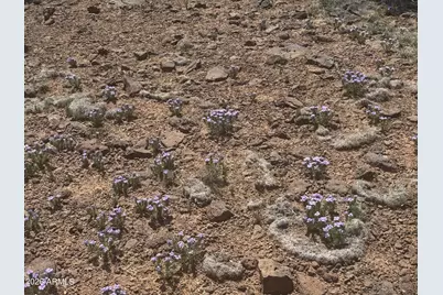 Lot 014E Wagon Lane -- #014E, Snowflake, AZ 85937 - Photo 10