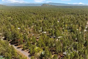 5801 Apache Trail, Pinetop, AZ 85935 - Photo 36